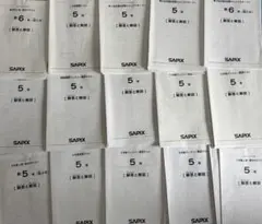 2026年最新】sapix 入室テスト 新2年の人気アイテム - メルカリ