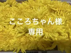 こころちゃん様専用