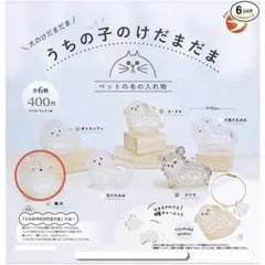 うちの子のけだまだま　柴犬