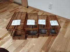 ゆでたまご様用　メジロ籠 ゆでたまご様用 メジロ籠 - メルカリ