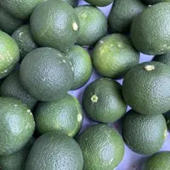 徳島県産 ハウスすだち　キズあり　B級品　訳あり　箱込み　約1キロ　家庭用のサムネイル