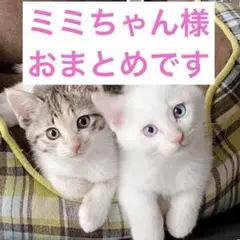 ミミちゃん様 リクエスト 3点 まとめ商品