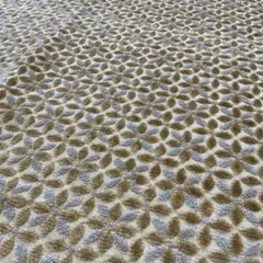 Item thumbnail for item 43dad554-8b26-4ae0-be7d-1f4e36e5c674