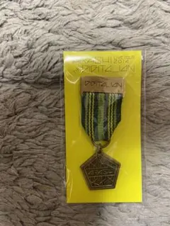 嵐 2014年 ツアー限定 グッズ 相葉雅紀 ピンバッジ 緑