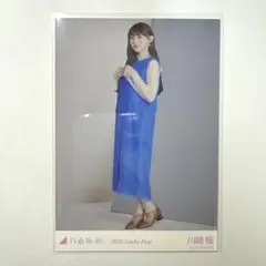 かりんとうピカチュウ様 リクエスト 3点 まとめ商品