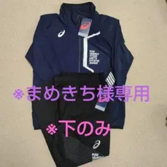 ASICS セットアップ