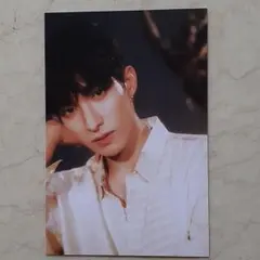 SEVENTEENドギョム　DK　ポストカード