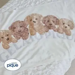【新品】gelato pique ジェラートピケ ブランケット トイプードル