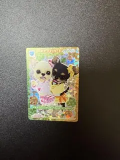 2025年最新】ワンタメカード レアの人気アイテム - メルカリ