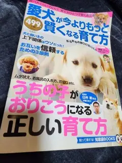 愛犬が今よりもっと賢くなる育て方