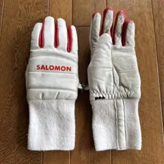 スキーグローブ