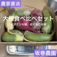 【農家直送】　大根食べ比べセット　ビタミン大根　紅くるり大根