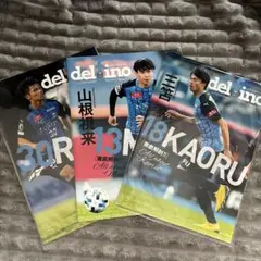 川崎フロンターレ 会報誌デルフィーノ2023 - メルカリ