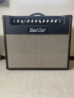 2025年最新】Bad Cat Cougar 50の人気アイテム - メルカリ