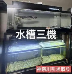 2025年最新】水槽 上部フィルター1200の人気アイテム - メルカリ