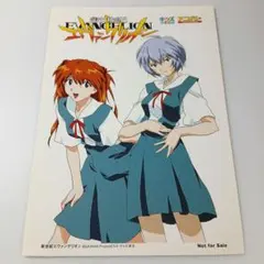 エヴァンゲリオン、非売品、綾波レイ、式波アスカ、クリアファイルです。 エヴァンゲリオン、非売品、綾波レイ、式波アスカ、クリア