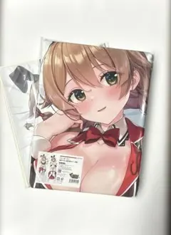 とらドラ！ 逢坂大河 抱き枕カバー 正規品 ルネッパンツ - メルカリ