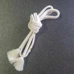 Item thumbnail for item 96499b11-3bf9-4a9f-8814-3a7151145d98