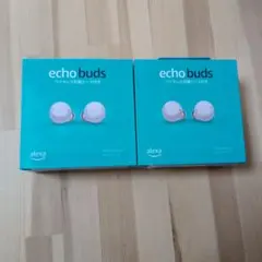echo buds ワイヤレスイヤホン 2個のサムネイル
