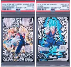 h6 55 psa10 ドラゴンボールヒーローズ ゴテンクス 旧弾 - メルカリ