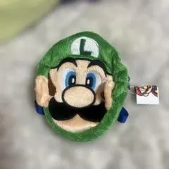ルイージポーチ