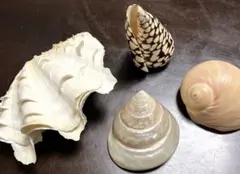 Item thumbnail for item 834fac39-72a8-4285-b18a-4d699b61459b