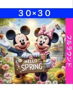 D-1131 ダイヤモンドアートキットディズニー ビーズ アート ハンドメイド