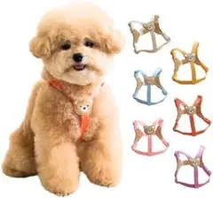 【BYBONG】くまさんハーネス 小型犬 (XS, オレンジ)のサムネイル
