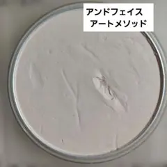 資生堂アンドフェイス　アートメソッド　デュアルパウダー【おしろい】のサムネイル