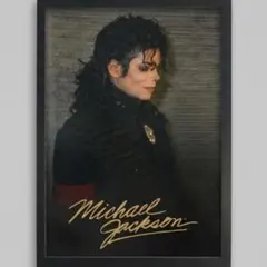 即日発送 Michael Jackson A4 アートポスター 額装済み