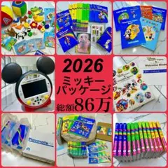 2026年最新】dwe ミッキーパッケージの人気アイテム - メルカリ