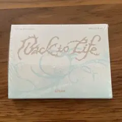 &TEAM Back to Life Mini CD-R ver.新品未開封