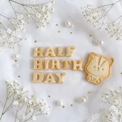 綺麗系 ハーフバースデー　フェイククッキー 残り2点