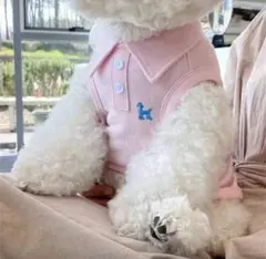 新品未使用　犬服　襟付きポロシャツ　Lサイズ