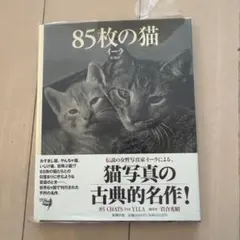 85枚の猫