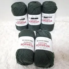 毛糸 エブリデイ ノルウェージア Col.418 (100g玉巻) 5玉