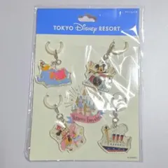 東京ディズニーリゾート めじるしアクセサリー 4個セット