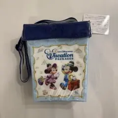 ディズニー　バケパ　ポップコーンバケット