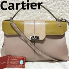 パイソン ハンドバッグ