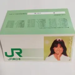 後藤久美子 JR東日本　鉄道チケットケース　切符袋