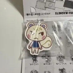あつ森 キャラマグネッツ　ジュン