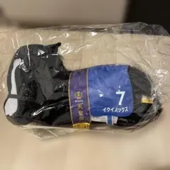 イクイノックス 第168回天皇賞 優勝記念 ぬいぐるみ　サラブレッドのサムネイル