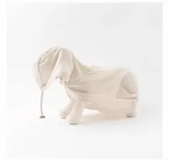 Item thumbnail for item 36ade1c3-bc57-4c5e-a04c-a3450c4ec65f