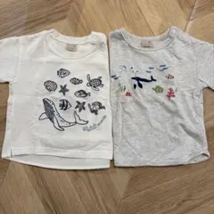 petit main 90㎝　Tシャツ　2枚セット