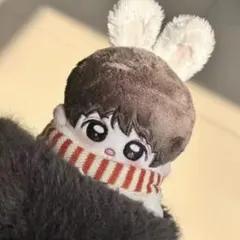 10cm BTS JungKook グク ぬいぐるみ本体㊷ - メルカリ