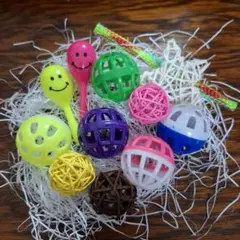 Item thumbnail for item c8dc87d3-4298-45b5-8d98-5a371820e220