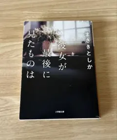 2045 彼女が最後に見たものは　まさきとしか