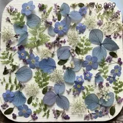 No,990 特小小花ミックス ドライフラワー花材 - メルカリ