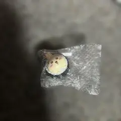 【新品未使用品】ちいかわ　くら寿司　びっくらぽん　うさぎ