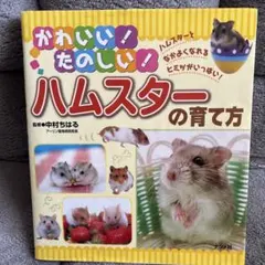 Item thumbnail for item eaa78f3f-e3ba-422a-959f-6f37b648c1ce